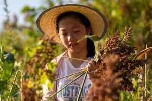 欢乐田野里的奇妙冒险（幸福和快乐在这里无处不在）