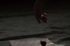 以这样就很好为引——一个关于爱与坚持的故事（从铁骨铮铮到失魂落魄，他们的爱情路程）