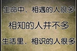 朋友间的坚固情谊（互相支持，共同成长）