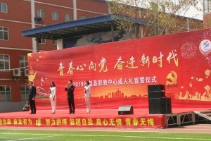 超越自我，奋发有为的英雄（战胜困境，成就辉煌）