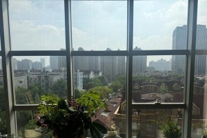 窗外曾有一片风景（爱与失落的故事）
