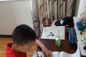 从稚嫩到成熟的蜕变（从稚嫩到成熟的蜕变）