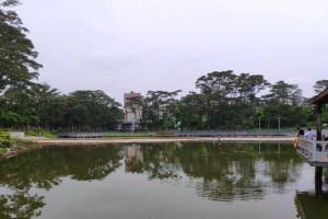 坚持不懈，创造精彩（一个女孩的故事）