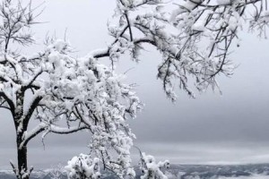 昨夜下雪了，发生了什么？（一个小女孩的故事）