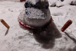 瑞雪祝福（一位女孩的付出）