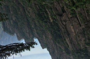 重获新生的勇气（打败恐惧，实现梦想）