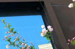 春天的芬芳（以收获着春天播种的美好）