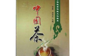 传承中华文化——一个小画家的故事