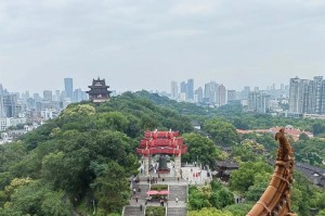快乐之旅的意外（一个意想不到的结局）