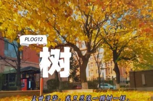 坚持与成长