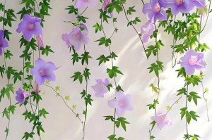 春风十里，不如你来（花开满园，心情愉悦）