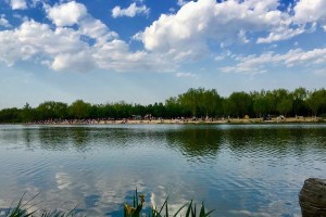 最美好的一天——开心到爆的周末（小剧场，快乐，放松）