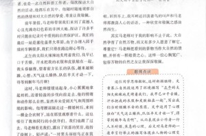 我的体育老师——教我勇敢、坚韧、团结（如何从一名弱小胆怯的学生变成一个勇敢、坚韧、团结的人？）