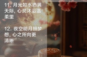 月亮的秘密（一个普通人的奇幻之旅）