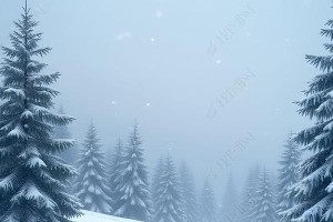 一场意外的雪，一段特殊的旅程（一场意外的雪，一段特殊的旅程）