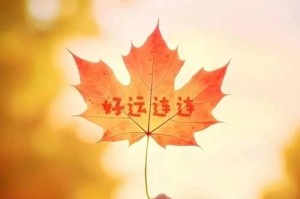 宽容与爱的故事：一双袜子