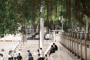 五彩缤纷的校园岁月（那些难忘的瞬间）
