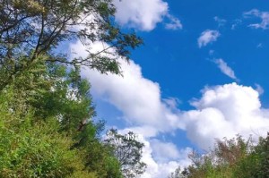 回顾过去，展望未来