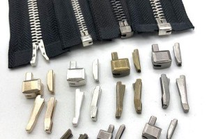 二十年后的我：回忆与展望