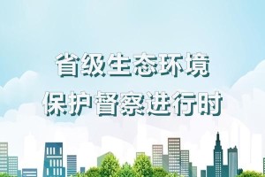 爱护环境，从我做起（一个小学生的环保故事）