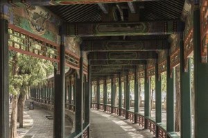 美丽园林中的爱情故事——花园中的约定