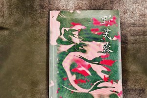 任性妄为的代价（谨慎行事，不要轻言放弃）