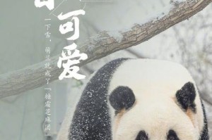 雪花纷飞，温暖心灵的冬季故事（雪花纷飞，温暖心灵的冬季故事）