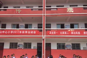 一个人的努力与奋斗（一个人的努力与奋斗）
