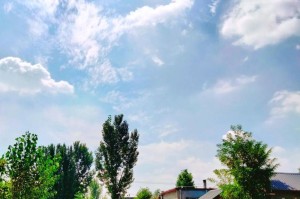 MyChildhoodinmyHometown（TheFragranceofChildhood）