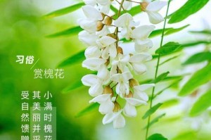 春天的绿洲（追寻自然的足迹）