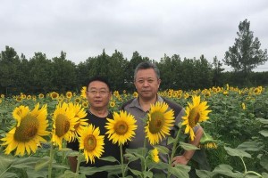 从痛苦中寻找真正的快乐（从痛苦中寻找真正的快乐）