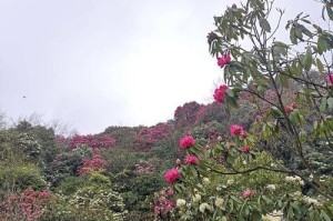 寻找勇气的旅行（一位女孩的内心独白）