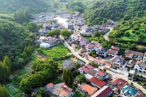 花开之地（一个小镇的故事）