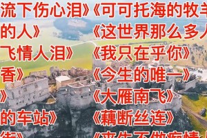 流下伤心的泪水（一个人的心路历程）