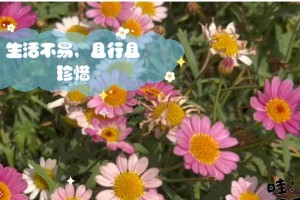 且行且珍惜（一个女孩的励志故事）