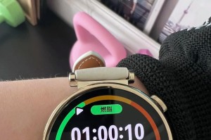 小雨——以谁真了不起（努力与坚持铸就的人生辉煌）