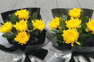 回忆里的快乐时光（思念亲人的勇气与坚持）