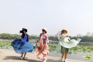 夏日繁花似锦（一场暴雨后的转机）