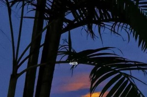 遇见世界的美好（探索之旅）