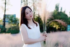 茶香四溢的“暖心铺子”（一群大爷们的温暖故事）