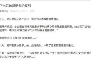 记者救人质（真相大揭露）