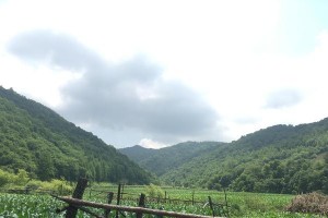 逝水年华（流连忘返的感觉）