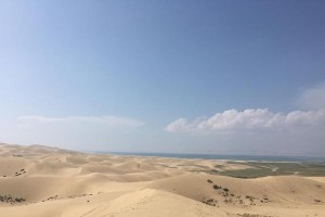 流连忘返（追寻的方向）