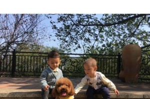 ANewFriend