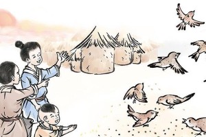 成长的内涵（一个小女孩的探索之旅）
