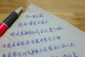 追梦路上（坚持不懈的努力）