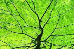 前途无限光明（一个勇敢追梦者的故事）