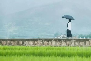 重新振作，勇往直前（一个克服失败和挫折的人物故事）