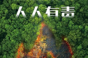 森林防火3（一次火灾，他与火魔搏斗，最终化险为夷）