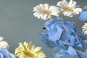 种子的力量（以善良种子，终会开花）